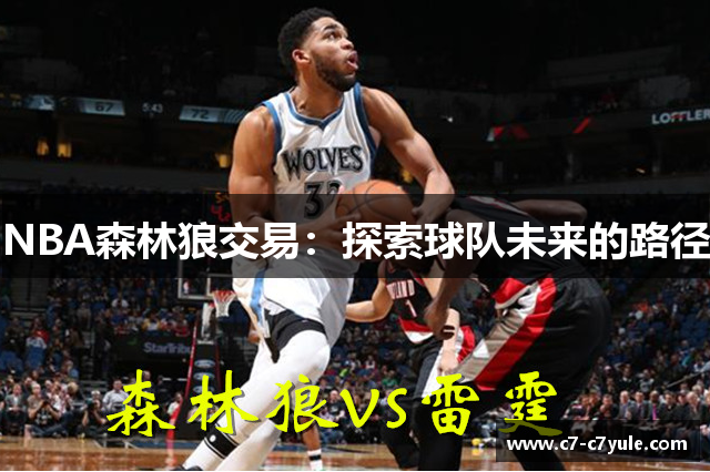 NBA森林狼交易：探索球队未来的路径